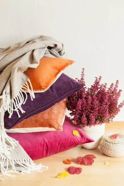 Πολύχρωμα μαξιλάρια ρίξει άνετο σπίτι φθινοπωρινή διάθεση λουλούδι φύλλα — Φωτογραφία Αρχείου