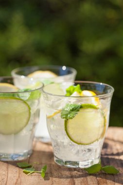 Nane limon limon bahçesinde ferahlatıcı limonata içmek