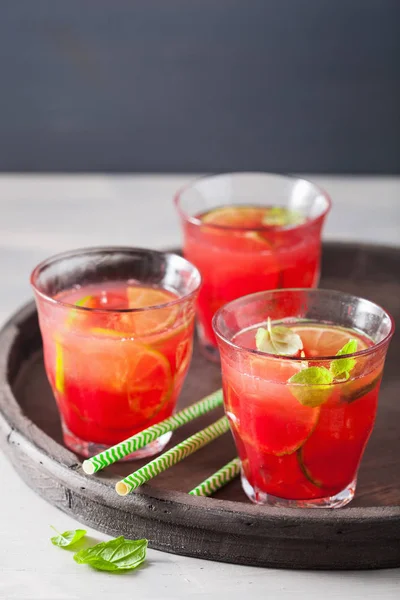 Watermelon lemonade with lime and mint, summer refreshing drink — Stock Photo, Image