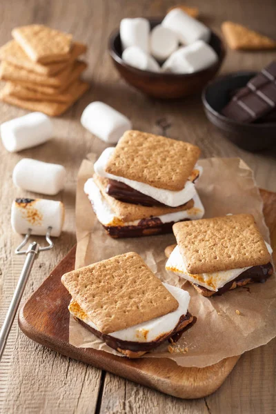 Zelfgemaakte marshmallow s'mores met chocolade op crackers — Stockfoto