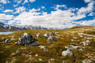 Dağ Manzaralı Aursjovegen Road, Norveç
