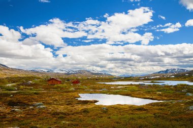 Dağ Manzaralı Aursjovegen Road, Norveç