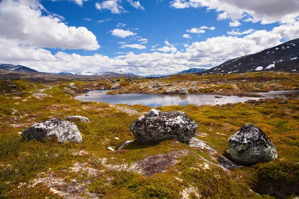 De mening van de berg Aursjovegen onderweg, Noorwegen — Stockfoto