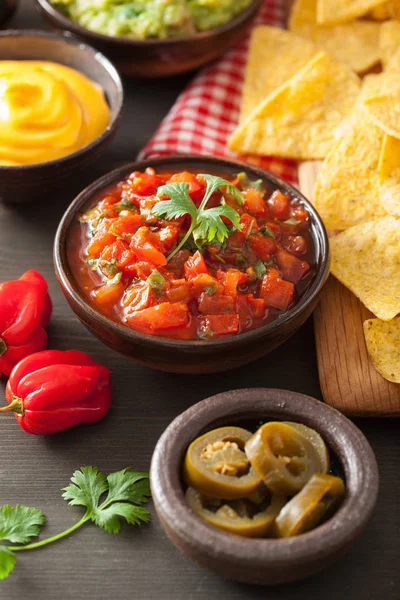 Meksika Nacho Guakamole, salsa ve peynir sos ile