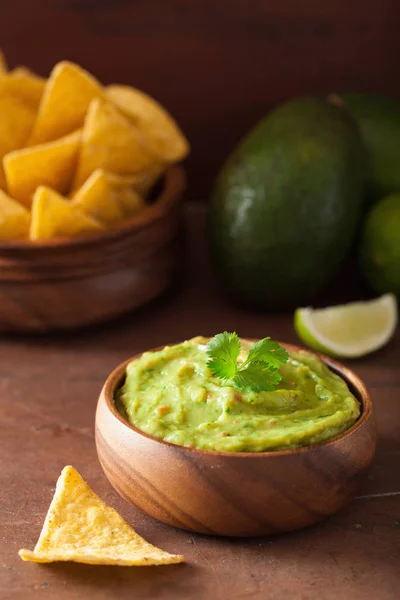 Mexican guacamole dip and nachos tortilla chips — Stock Photo, Image