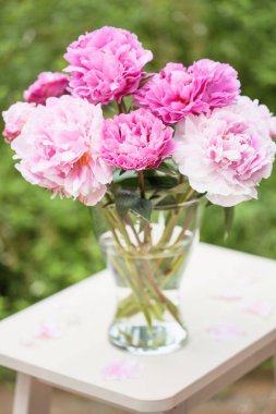 Bahçe içinde güzel pembe Şakayık çiçekleri buketi