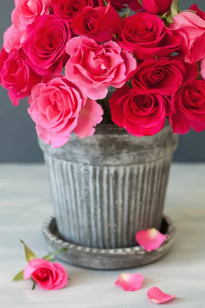 Prachtige rode roos bloemen boeket in vaas — Stockfoto