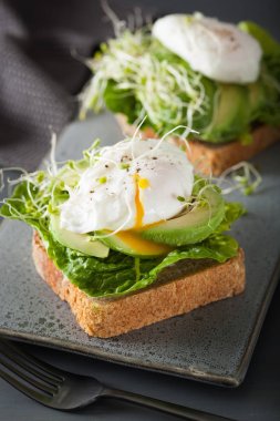 Kahvaltı tost avokado, haşlanmış yumurta ve Yonca filizi