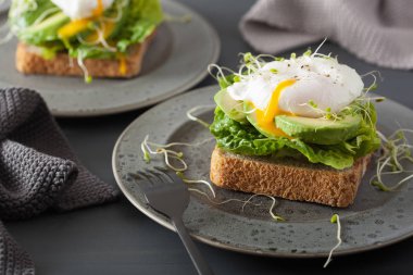 Kahvaltı tost avokado, haşlanmış yumurta ve Yonca filizi