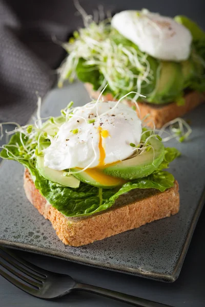 Kahvaltı tost avokado, haşlanmış yumurta ve Yonca filizi
