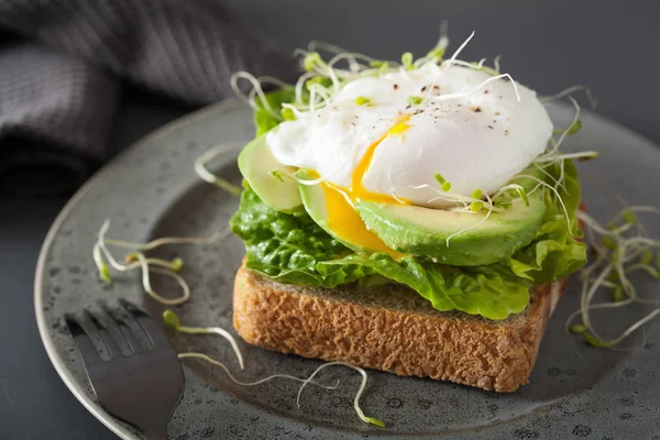 Kahvaltı tost avokado, haşlanmış yumurta ve Yonca filizi