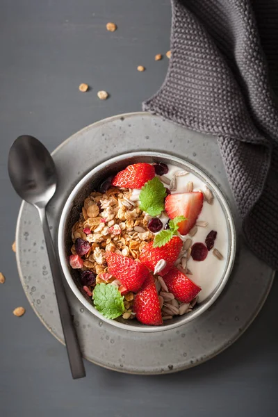 Granola ve tohum ve kahvaltı çilekli yoğurt