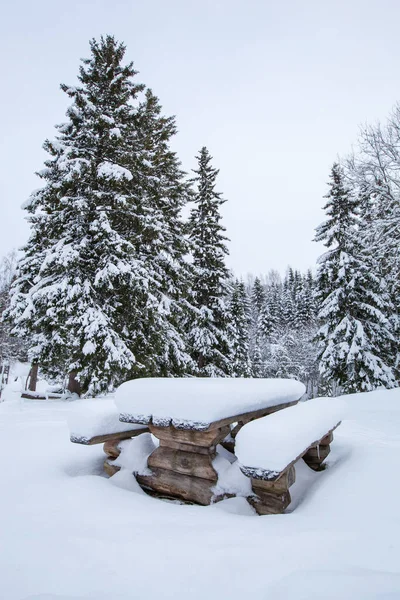 Bela paisagem de inverno árvore de neve — Fotografia de Stock