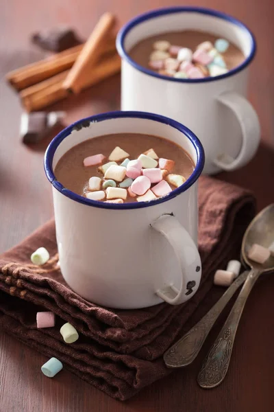 Varm choklad med mini marshmallows kanel vintern drink — Stockfoto