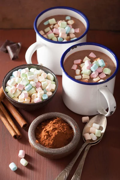 Hot chocolate with mini marshmallows cinnamon winter drink — Stock Photo, Image