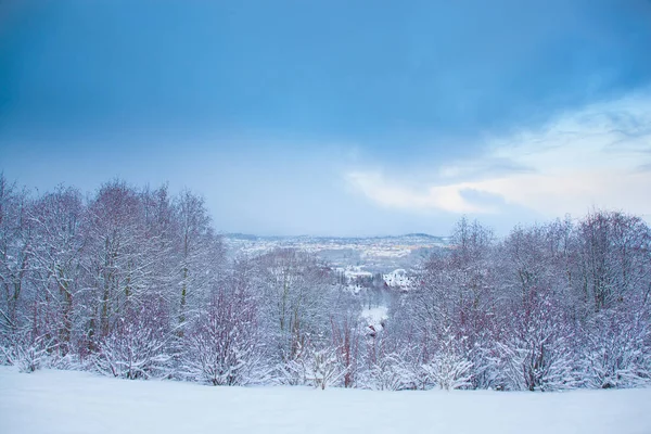 güzel kış manzara kar Trondheim