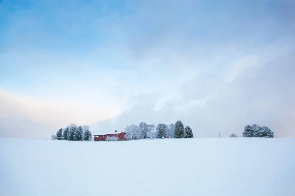 Kaunis talvi maisema lumi maatila talo — kuvapankkivalokuva