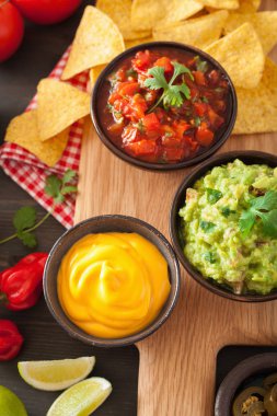 Meksika Nacho tortilla cips Guakamole, salsa ve peynir d ile