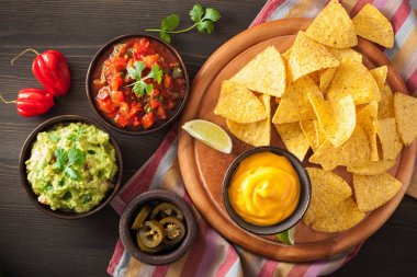 Meksika Nacho tortilla cips Guakamole, salsa ve peynir d ile