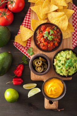 Meksika Nacho tortilla cips Guakamole, salsa ve peynir d ile