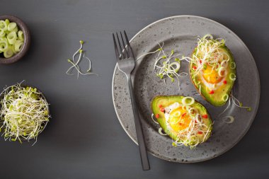 pişmiş yumurta avokado taze soğan ve Yonca filizi