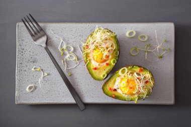 pişmiş yumurta avokado taze soğan ve Yonca filizi