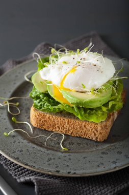 Kahvaltı tost avokado, haşlanmış yumurta ve Yonca filizi