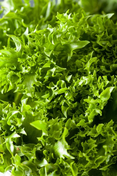 Fresh green salad leaf background — Stock Photo, Image