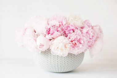 Vazoda güzel pembe şakayık çiçekleri.