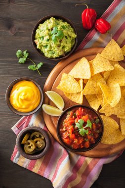 Meksika Nacho tortilla cips Guakamole, salsa ve peynir ile