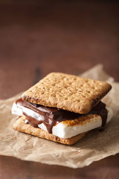 Zelfgemaakte marshmallow s'mores met chocolade op crackers — Stockfoto