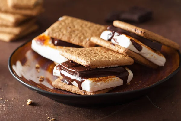 Marshmallow s'mores maison avec chocolat sur craquelins — Photo