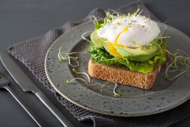 Kahvaltı tost avokado, haşlanmış yumurta ve Yonca filizi