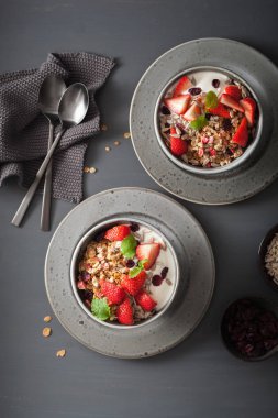 Granola ve tohum ve kahvaltı çilekli yoğurt