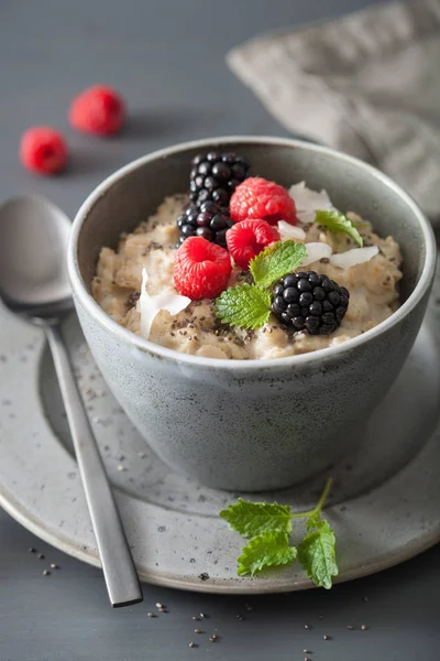 覆盆子黑莓健康的早餐麦片粥 — 图库照片