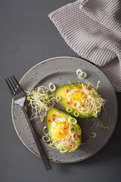 Яйцо запечено в авокадо с весенним луком и люцерной капустой — стоковое фото
