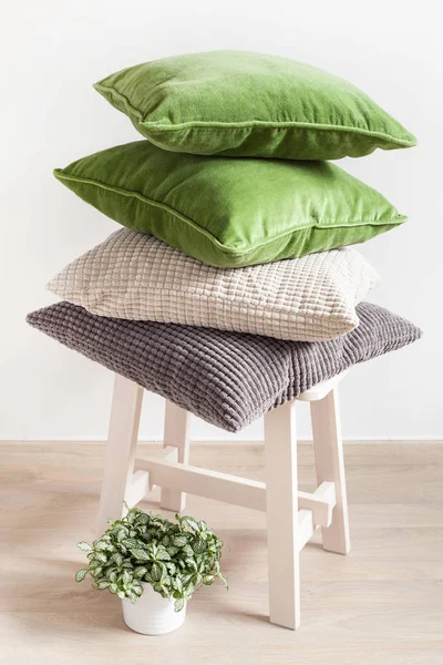 Gray and green cushions, houseplant. cozy home — Stock Photo, Image