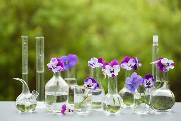 Flores de pansy en cristalería química, decoración de mesa en jardín —  Fotos de Stock