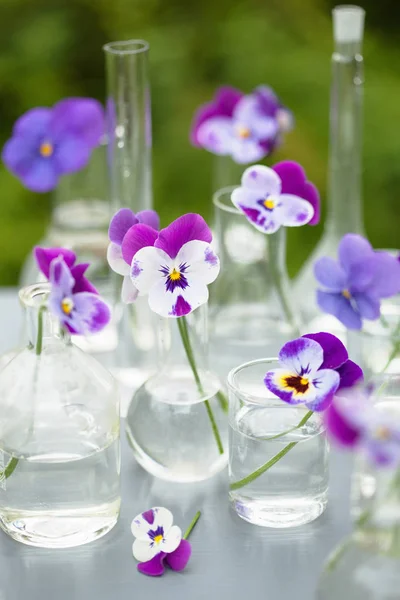 Голубые цветы в химической стеклянной посуде, украшение стола в саду — стоковое фото