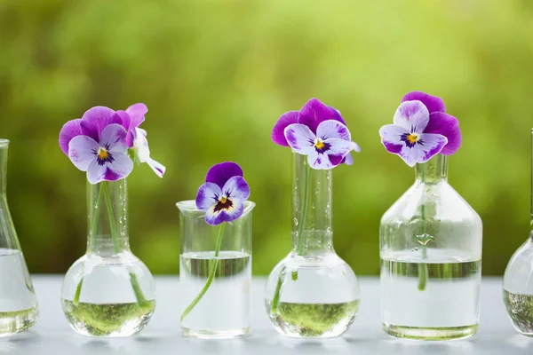 Fleurs pansées en verrerie chimique, décoration de table dans le jardin — Photo