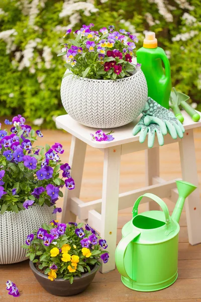 Hermosas flores de verano en el jardín, regadera, herramientas —  Fotos de Stock