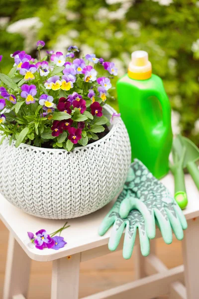 Belas flores de verão pantanosas no jardim, ferramentas — Fotografia de Stock