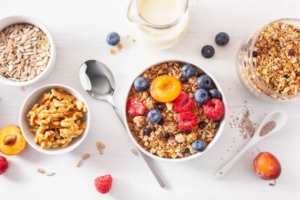 Gesundes Müsli zum Frühstück mit Beerenfrüchten, veganer Milch — Stockfoto