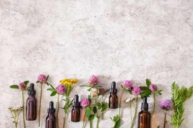 tıbbi çiçekler otlar şişelerde uçucu yağlar. alternatif med