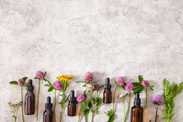 Lékařské květiny bylinné Byliny v lahvích. alternativní med — Stock fotografie