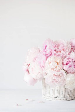 Vazoda güzel pembe şakayık çiçekleri.