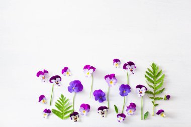 güzel pansy yaz çiçekleri beyaz flatlay