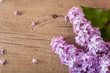 Tahta arka planda güzel leylak çiçekleri