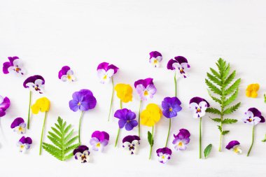 güzel pansy yaz çiçekleri beyaz flatlay