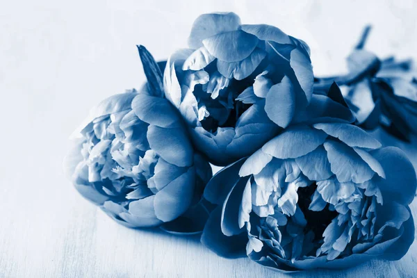2020年のクラシックブルーのトレンドカラー 美しい牡丹の花花束 — ストック写真